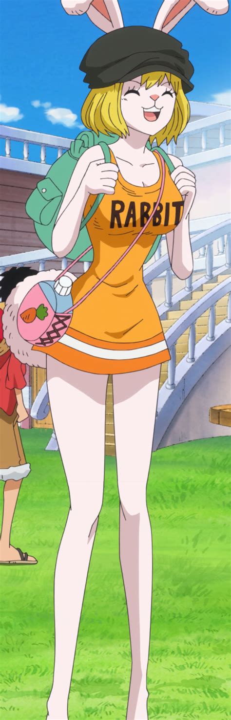 one piece carrot sex|Character: carrot » nhentai